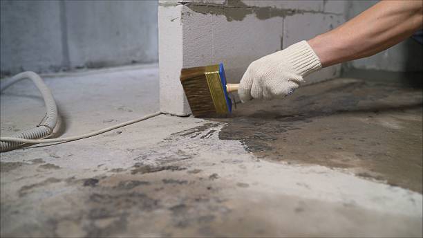 Crawl space vapor barrier installation in Brokaw, WI